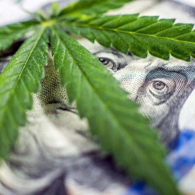 Cannabis Businesses Turn to Security Experts as the Market Continues its Expansion