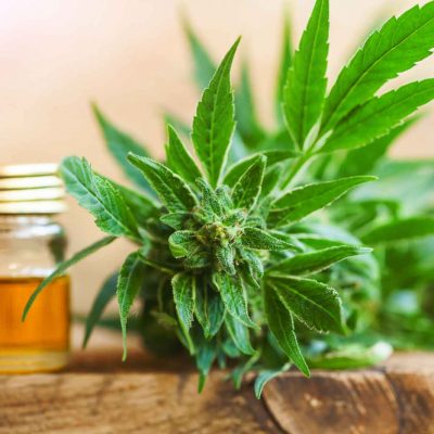 Education is Major Driver to Market Adoption of CBD