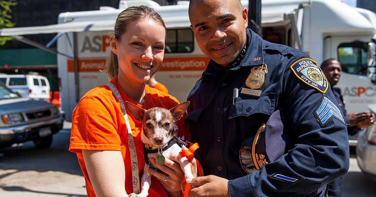 Aspca And Nypd Celebrate Five Years Of Fighting Animal Abuse And Rescuing Victims Across Nyc The Ritz Herald