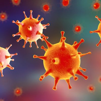 Breakthrough Discovery In The Battle Against The Herpes Simplex Virus