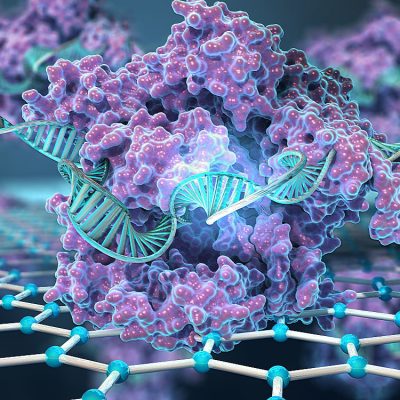 CRISPR-Chip Enables Digital Detection of DNA without Amplification