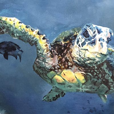 Winner of World Wildlife Day 2019 International Youth Art Contest announced at UN Headquarters