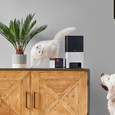 Petcube Launches Two New Pet Cameras, For The First Time With Alexa Built-in And 180° Lens