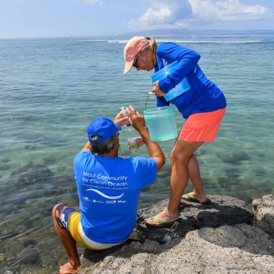 Clean Ocean Water Viewed as a Priority to Help Mauiʻs Corals Survive Warming Ocean Temperatures and Coral Bleaching