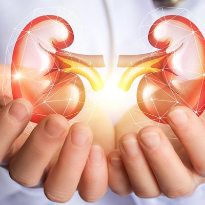 Americans Should Start the New Year Focused on Kidney Health