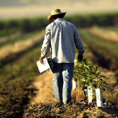 $80 Million Grant Aims to Make Regenerative Farming Practice a Moneymaker for Farmers