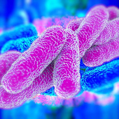 Buildings Closed by COVID-19 Present Another Risk: Legionnaires’ Disease
