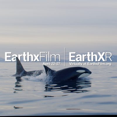 Environmentally-focused Film Festival Announces Lineup of Films, Panels, Music, Dance, and XR Programming