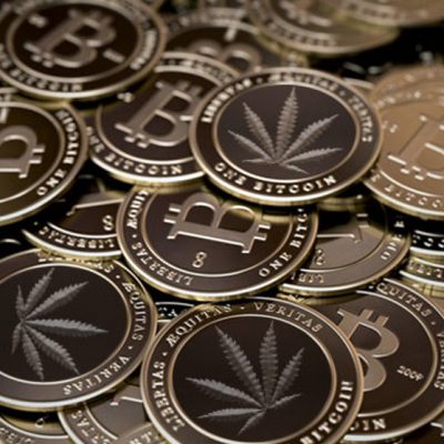 Why Investors Become Bullish About Investing in Crypto and Cannabis