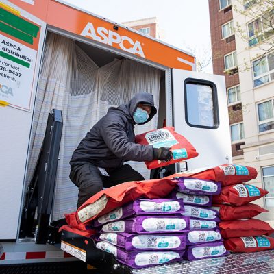 ASPCA® Commits to Assisting 200,000 Animals Impacted by COVID-19 Crisis