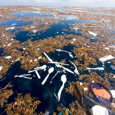 Plastic Flows Into the Ocean Expected to Triple by 2040