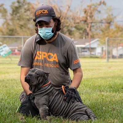 ASPCA Assists Nearly 200 Animals Impacted by Hurricane Laura