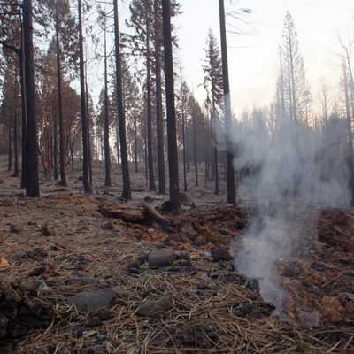 California Cattlemen’s Association and Others Request $1.5 Billion in Funding, Regulatory Changes to Battle Increasing Blazes