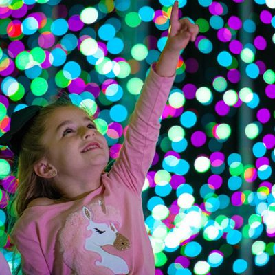 World of Illumination Donates $25,000 in Ticket Proceeds to Make-a-Wish Arizona