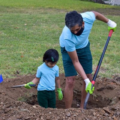 Texas Trees Foundation, Target and Arbor Day Foundation Host Community Tree Planting Event in Veterans Park