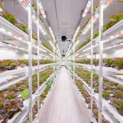 AmplifiedAg Deploys Vertical Farms and Hydroponic Systems, Positioning Company for Rapid Expansion