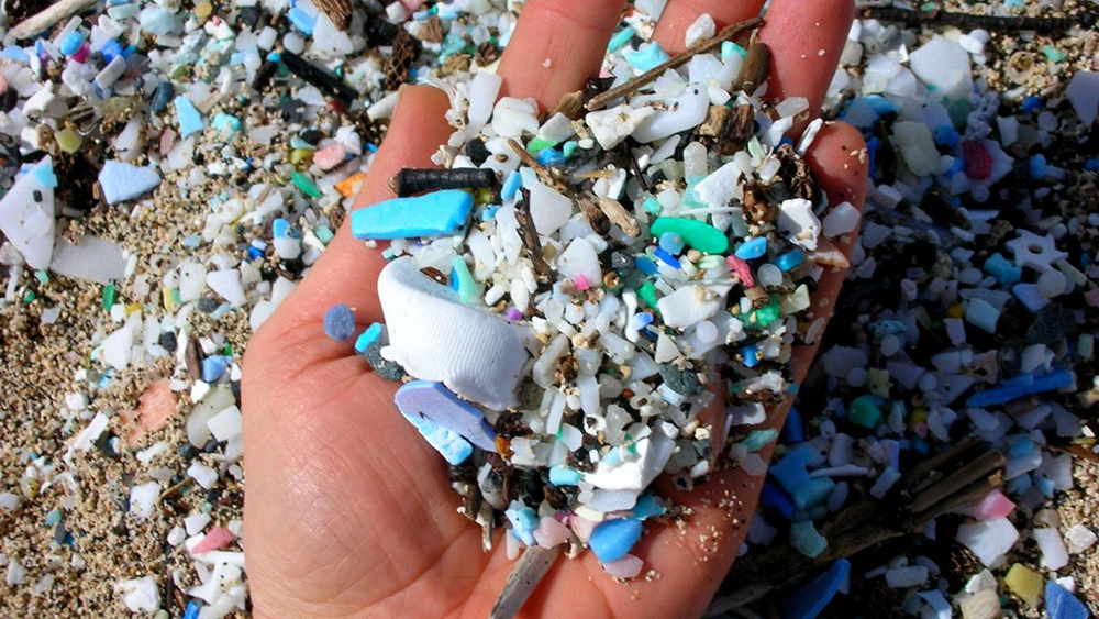 Microplastic Sizes in Hudson-Raritan Estuary and Coastal ...