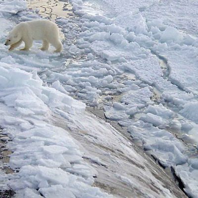 Commercial and Military Activities in the Arctic Ocean Are Hazardous to Global Health