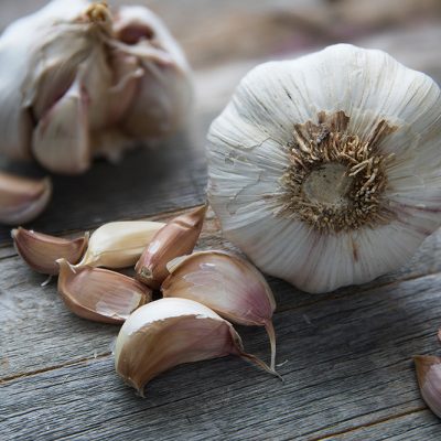 Potential Use of Garlic Compounds in Human Medicine