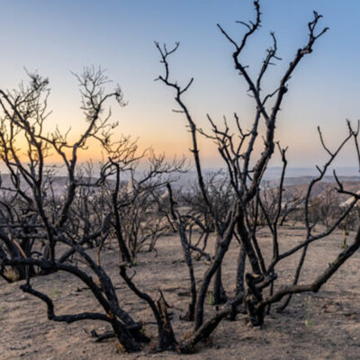 Greenhouse Gas and Aerosol Emissions Are Lengthening and Intensifying Droughts