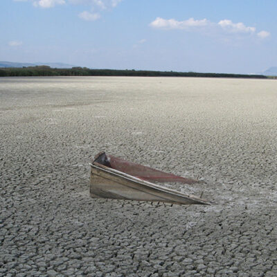 Biodiversity Devastation: Human-Driven Decline Requires Millions of Years of Recovery