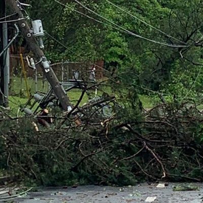 Majority of Outages in Metro Atlanta Counties Due to Fallen Trees and Downed Power Lines