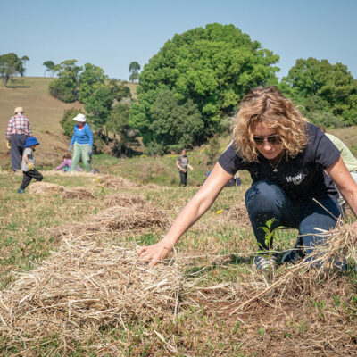 People Prefer ‘Natural’ Strategies to Reduce Atmospheric Carbon