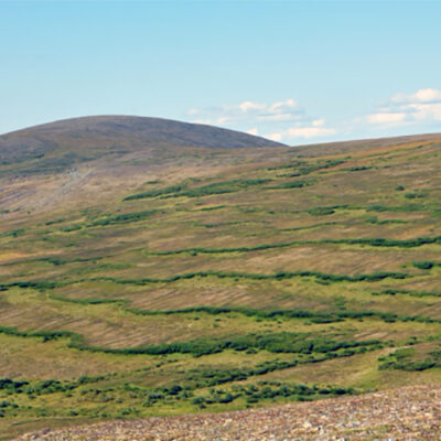 Why Arctic Soil Can Go Slip-Sliding Away