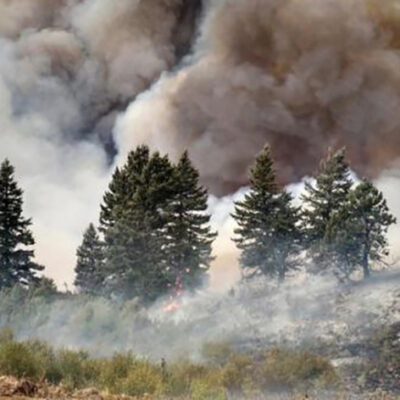 Wildfire Smoke Exposure Linked to Increased Risk of Contracting COVID-19