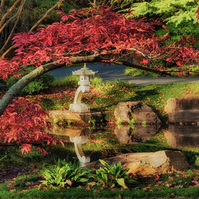 A Magical Experience Awaits at Gibbs Gardens’ Japanese Garden
