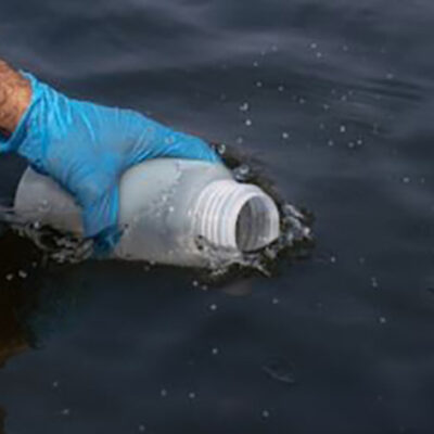 One Water Bucket to Find Them All: Detecting Fish, Mammals, and Birds From a Single Sample