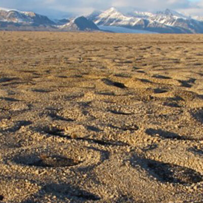 How ‘Ice Needles’ Weave Patterns of Stones in Frozen Landscapes