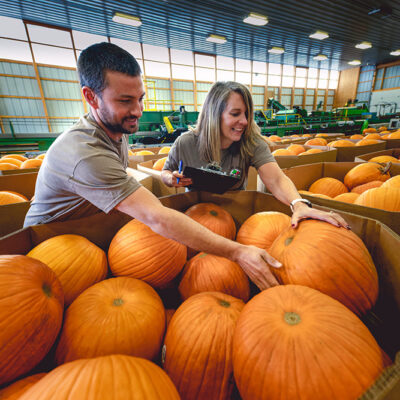 Meijer Strengthens Commitment to Local, Offers Freshest Pumpkin Assortment for Halloween
