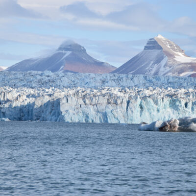 Cold-Resistant Bacteria Found in the Arctic Can Degrade Crude Oil