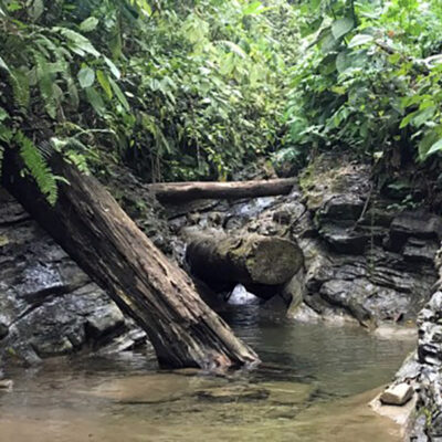 ‘Mantle Wind’ Blows Through Slab Window Beneath Panama