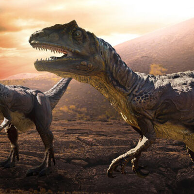 Dinosaurs’ Last Spring: Florida Atlantic University Groundbreaking Study Pinpoints Timing of Chicxulub Asteroid Impact