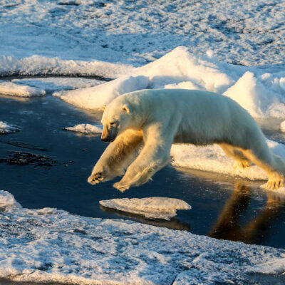 Accumulated Heat in the Upper Ocean Is at Record Levels, Breaks Records for Sixth Year