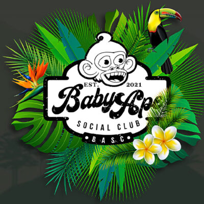 The Baby Ape Social Club Shares Critical Components That Led to Substantial Growth on the Solana Blockchain With More to Come