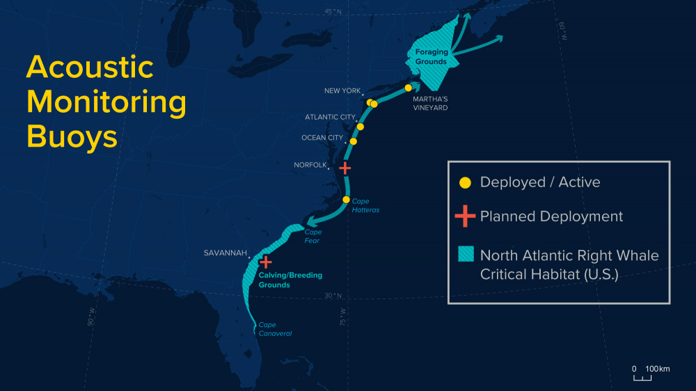 Newly Located Acoustic Buoys Will Alert Mariners of the Presence of Whales Near Critical U.S. Ports