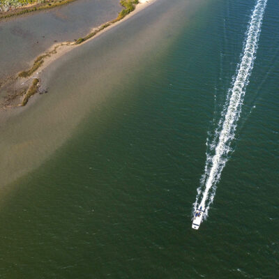 Human Activity ‘Helped Fuel’ Red Tide Events, New Study Reveals