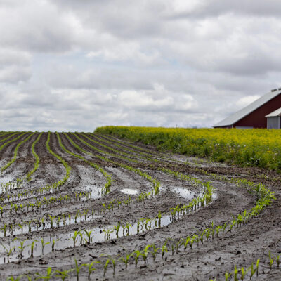 Climate Change on Course to Hit U.S. Corn Belt Especially Hard