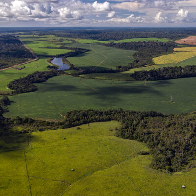 Amazon Landscape Change Study Highlights Ecological Harms and Opportunities for Action