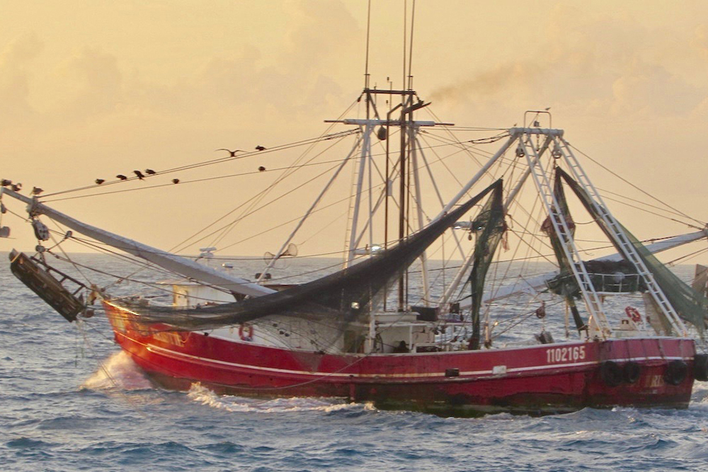 The 83-foot commercial fishing vessel, Lady Kristie, near Tortugas Ecological Reserve, south of Florida, is shown, Feb. 21, 2019. The Coast Guard Cutter Isaac Mayo crew detected the Lady Kristie within a protected area. The U.S. Coast Guard cutter Isaac Mayo crew boarded the vessel and identified the following alleged violations: an inoperable high water bilge alarm, a lack of drills being conducted, fishing inside an ecological reserve and exceeding their tow time restriction of 75 minutes.