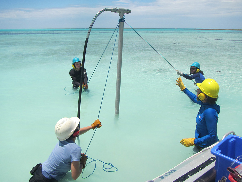 Coring Sand Aprons. One Tree Island. © University of Sydney