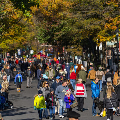 The 51st Annual Waterfowl Festival Offers Something for Everyone in Easton, MD