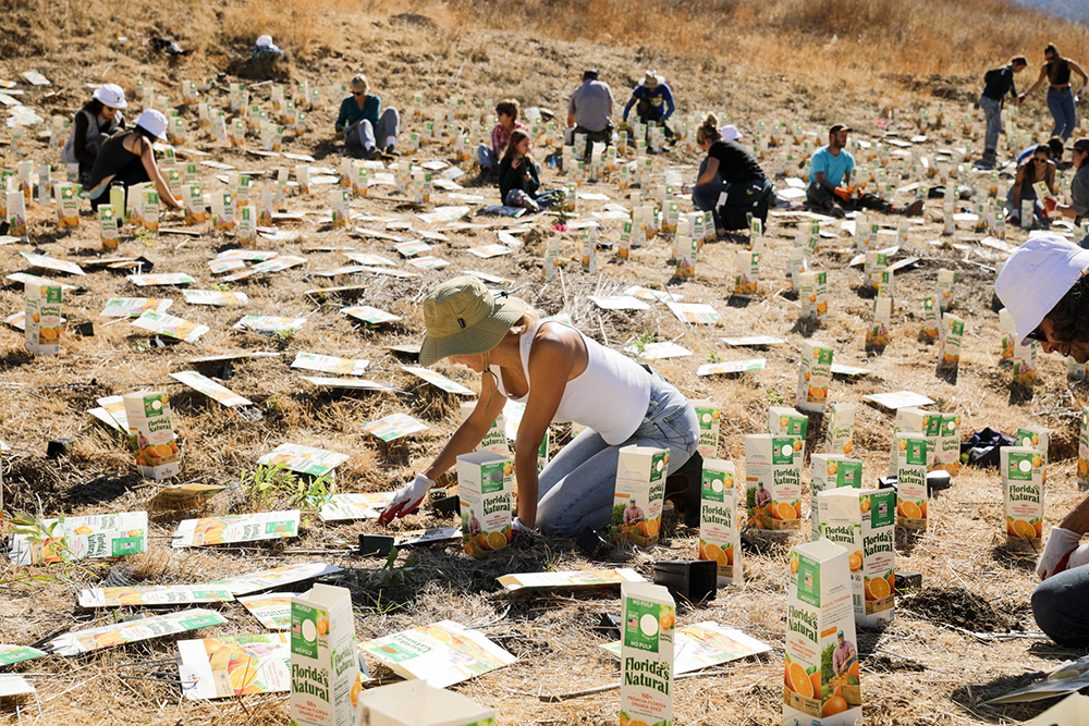 A Community Planting Day Event Held in the Santa Monica Mountains National Recreation Area