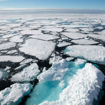 Synthetic Fibers Discovered in Antarctic Air, Seawater, Sediment and Sea Ice as the ‘Pristine’ Continent Becomes a Sink for Plastic Pollution