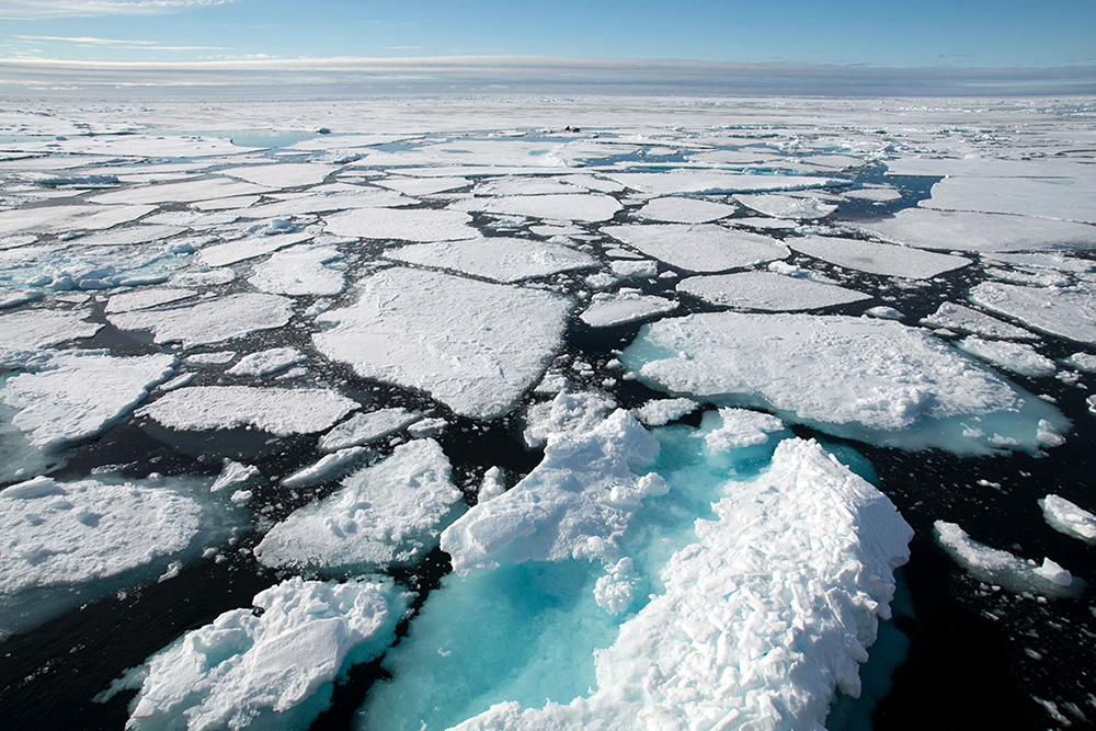 Synthetic Fibers Discovered in Antarctic Air, Seawater, Sediment and ...