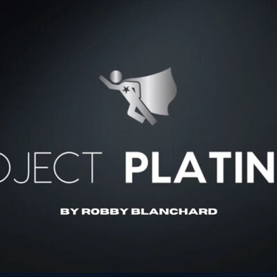 Project Platinum Review – Is It Worth Buying?