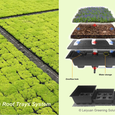 Transform Urban Spaces With LEIYUAN GREENING SOLUTION’s Green Roof Trays